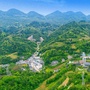 板场村委会ico