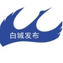 白城发布ico
