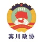 宾川政协ico
