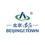 北京亦庄ico