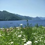 平安浑江ico