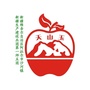 美丽五团ico