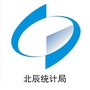 北辰微统计ico