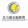 北斗星全脑开发公众号ico