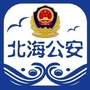 平安北海ico