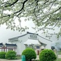 八公山区人民政府发布ico