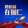 碧桂园在铜仁ico