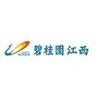 碧桂园在江西公众号ico