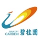 碧桂园在济宁ico