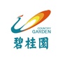 碧桂园在河源ico