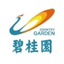 碧桂园在禅城ico