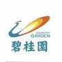 娄底碧桂园ico
