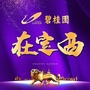 碧桂园在定西ico