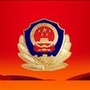 临盘公安公众号ico