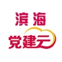 滨海党建云ico