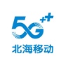 北海移动5G生活馆公众号ico