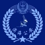平安滨海ico