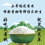 五常北荒原ico