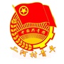 龙泉驿二河村青年ico