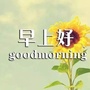 早上好问候语句子公众号ico