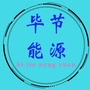 毕节能源ico