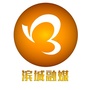 滨城融媒ico