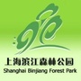上海滨江森林公园ico
