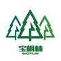 宝枫林ico