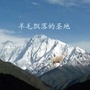 碧土乡党务政务平台ico