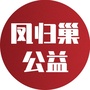 凤归巢公益ico