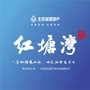 北京城建红塘湾ico