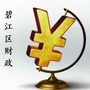 碧江财政ico