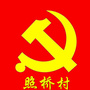 八角井照桥村村委会ico