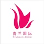 青兰国际ico