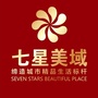 七星美域ico