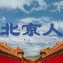 北京人的北京ico
