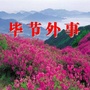 毕节外事ico