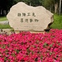文龙商学ico
