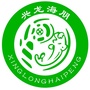 北京兴龙海朋ico