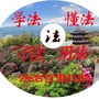 法治百里杜鹃ico