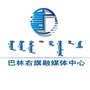 巴林右旗广播电视台ico