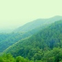 白马山旅游网公众号ico