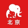 北京爸妈营ico