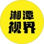 湘潭视界ico