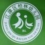 柏林幼儿园ico