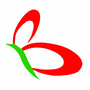 博洲旅行社公众号ico