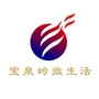宝泉岭微生活ico
