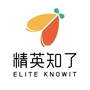 精英知了国际教育ico