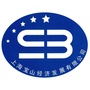 上海宝山经济发展有限公司ico