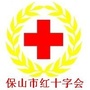 保山市红十字会ico